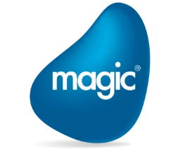 Magic Software France